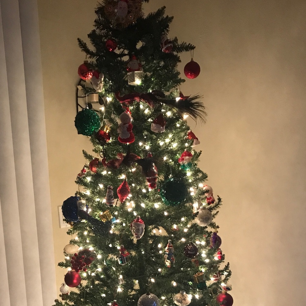 Meet your Posher, Annie